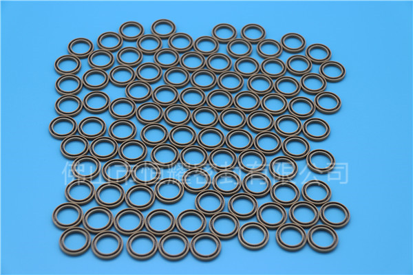 食品機(jī)械密封件 (1)