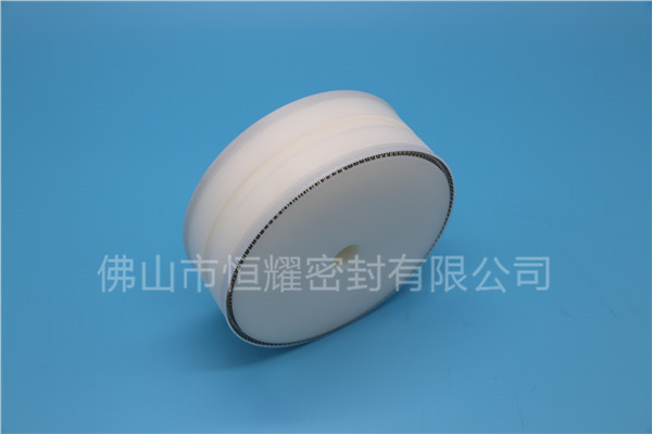 食品機(jī)械密封件 (60)