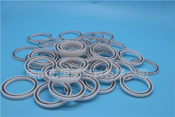 食品機(jī)械密封件 (109)