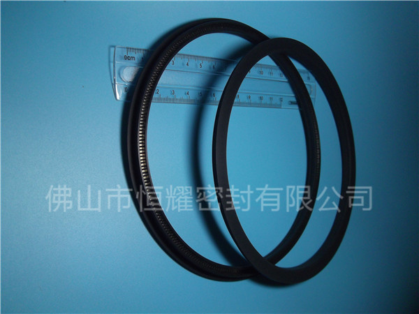 HOD、HVD旋轉(zhuǎn)泛塞封 (15)