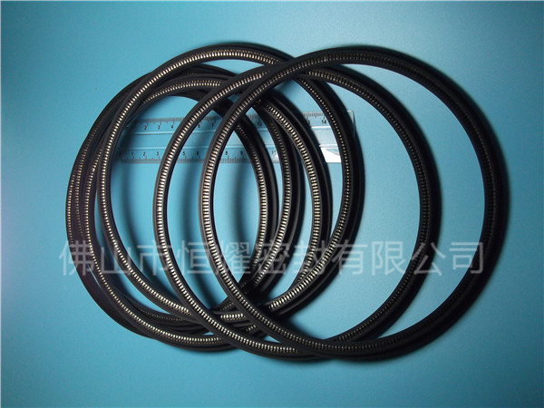 HOD、HVD旋轉(zhuǎn)泛塞封 (16)