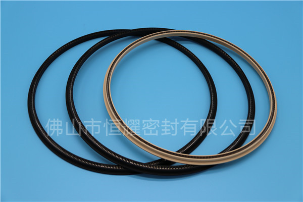 HOD、HVD旋轉(zhuǎn)泛塞封 (17)