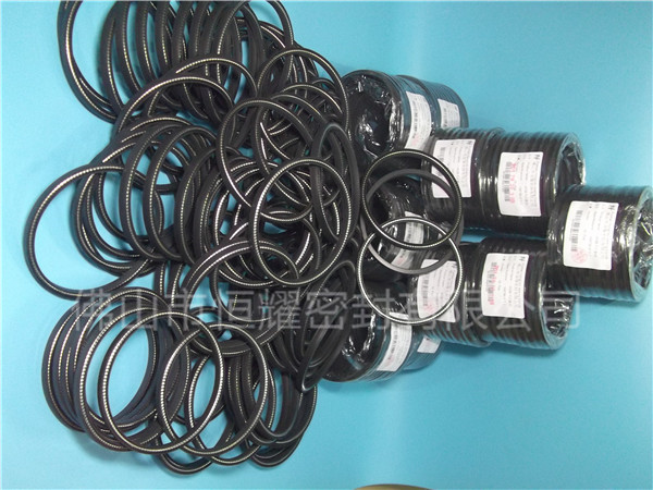 HOC、HVC孔軸兩用泛塞封 (9)