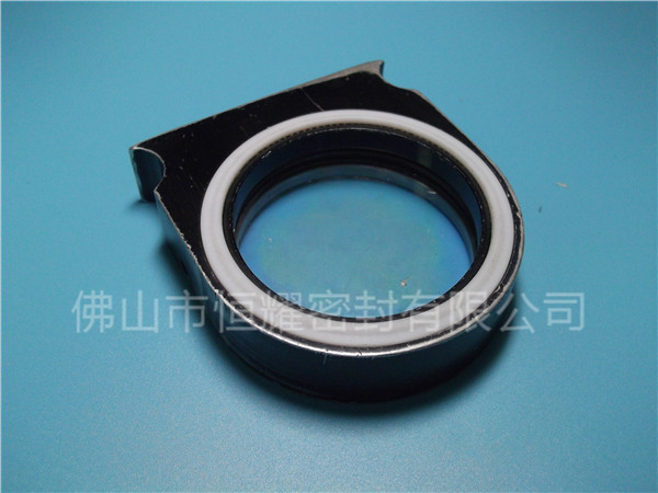 HVF、HVG端面內(nèi)、外向泛塞封 (2)