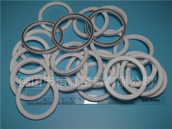 HVF、HVG端面內(nèi)、外向泛塞封 (9)