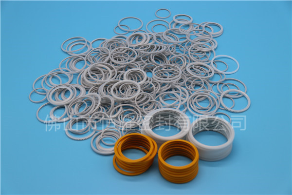 HVF、HVG端面內(nèi)、外向泛塞封 (18)