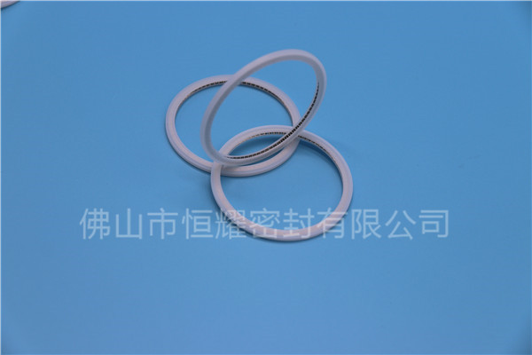 HVF、HVG端面內、外向泛塞封 (21)