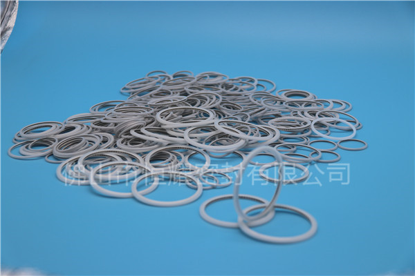 HVF、HVG端面內(nèi)、外向泛塞封 (24)