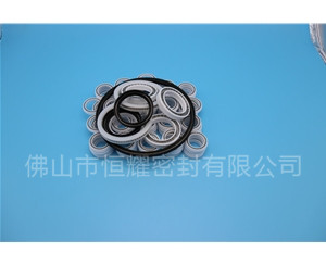 HOB、HVB孔用泛塞封 (6)