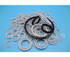 HOB、HVB孔用泛塞封 (12)