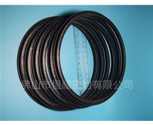 HOD、HVD旋轉(zhuǎn)泛塞封 (11)