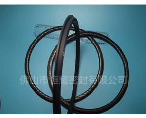 HOD、HVD旋轉(zhuǎn)泛塞封 (14)