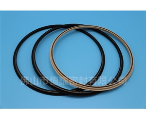 HOD、HVD旋轉(zhuǎn)泛塞封 (17)