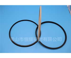 HOD、HVD旋轉(zhuǎn)泛塞封 (18)