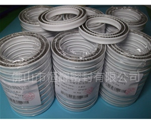 HOC、HVC孔軸兩用泛塞封 (17)