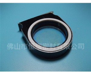 HVF、HVG端面內(nèi)、外向泛塞封 (2)