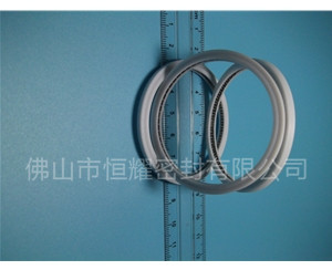 HVF、HVG端面內(nèi)、外向泛塞封 (6)