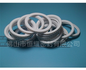 HVF、HVG端面內(nèi)、外向泛塞封 (8)