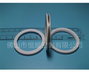 HVF、HVG端面內(nèi)、外向泛塞封 (10)