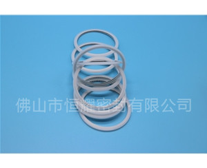 HVF、HVG端面內(nèi)、外向泛塞封 (15)