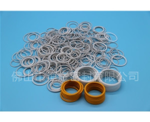 HVF、HVG端面內(nèi)、外向泛塞封 (19)