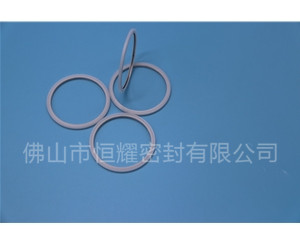 HVF、HVG端面內(nèi)、外向泛塞封 (20)