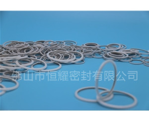 HVF、HVG端面內(nèi)、外向泛塞封 (23)